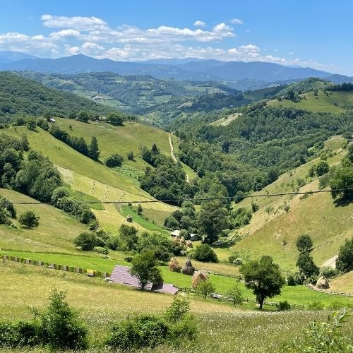 Verde Crud din Măgura Codlei până în satul Holbav  [6]