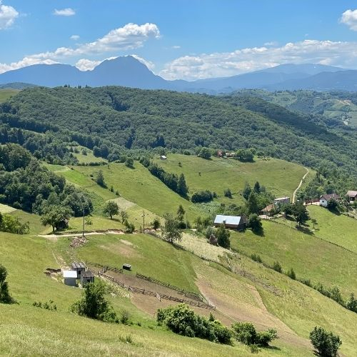 Verde Crud din Măgura Codlei până în satul Holbav  [10]