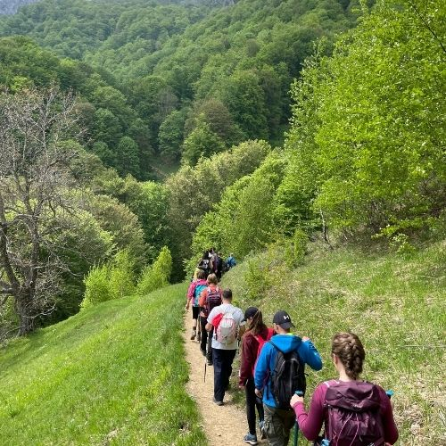 Verde Crud în Masivul Buila Vânturarița [4]