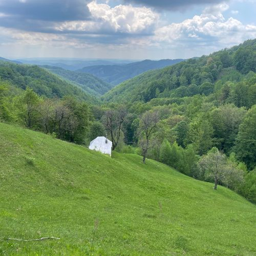 Verde Crud în Masivul Buila Vânturarița [3]