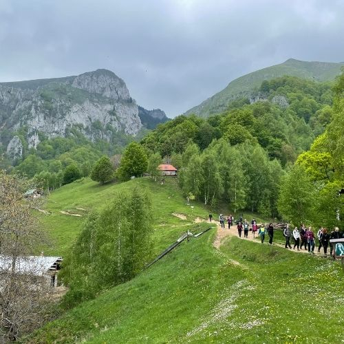 Verde Crud în Masivul Buila Vânturarița [2]