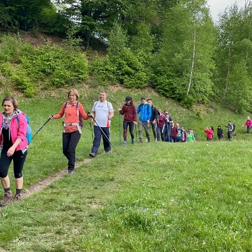 Verde Crud în Masivul Buila Vânturarița [5]