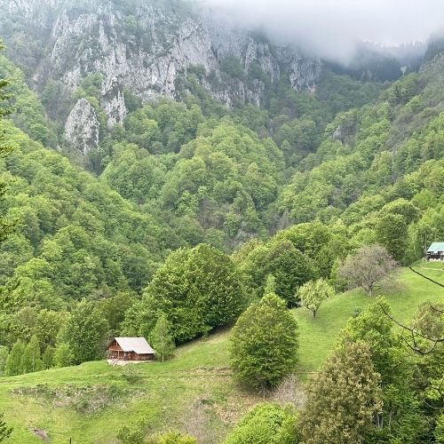 Verde Crud în Masivul Buila Vânturarița [8]