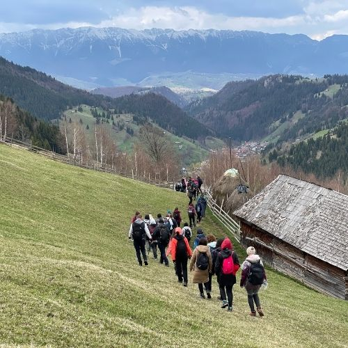 Verde Crud la Amfiteatrul Transilvaniei și Plaiul Bisericuței [4]