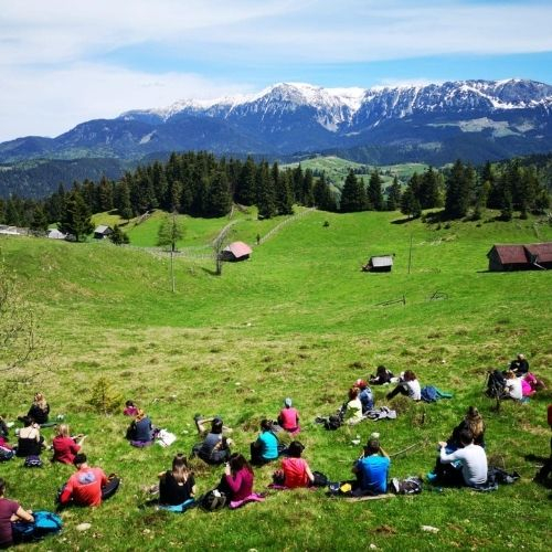 Gogoși și Verde Crud la Fundata & Fundățica [2]