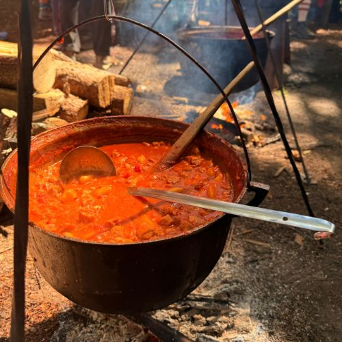 Via Transilvanica - Terra Borza Teutonica și Mâncarea la Ceaun [2]