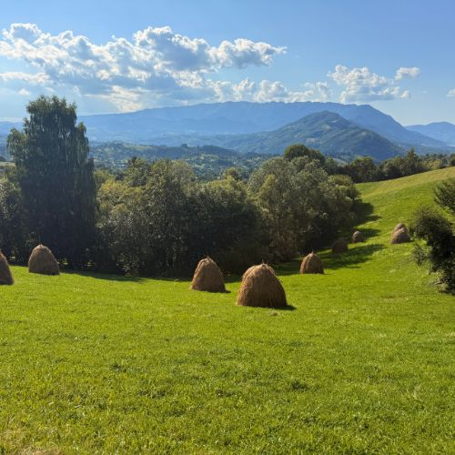 Via Transilvanica - Terra Borza Teutonica și Mâncarea la Ceaun [10]