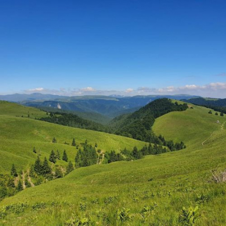 De Rusalii prin Munții Grohotiș [2]