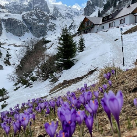 Drumeții - Brândușe la Cabana Mălăiești