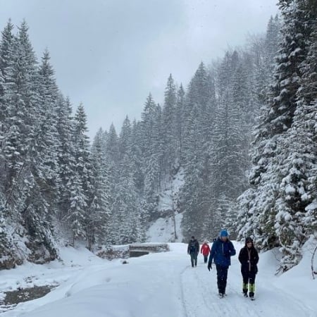 Cabana Cuca și Mâncarea la Ceaun - Munții Iezer Păpușa [6]