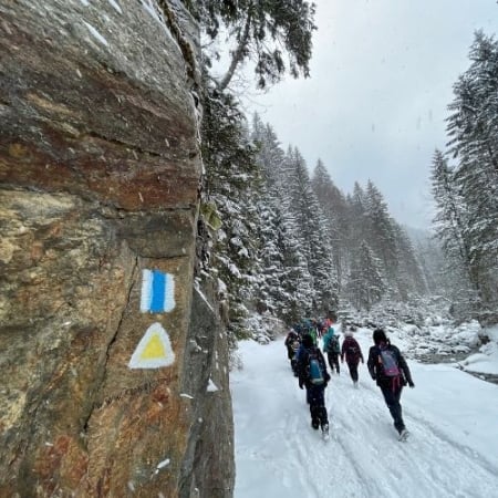 Cabana Cuca și Mâncarea la Ceaun - Munții Iezer Păpușa [7]