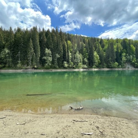 Cheile Zănoagei, Lacul Scropoasa și Cascada 7 Izvoare [4]