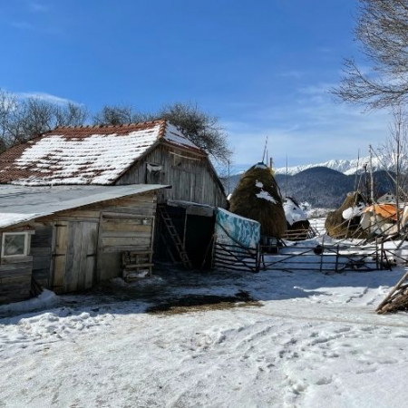 Gogoși și Circuit Pitoresc prin Sate de Munte [2]