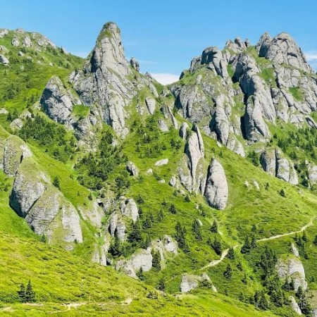 Drumeții - Culmea Bratocea, Afinele și Vârful Ciucaș
