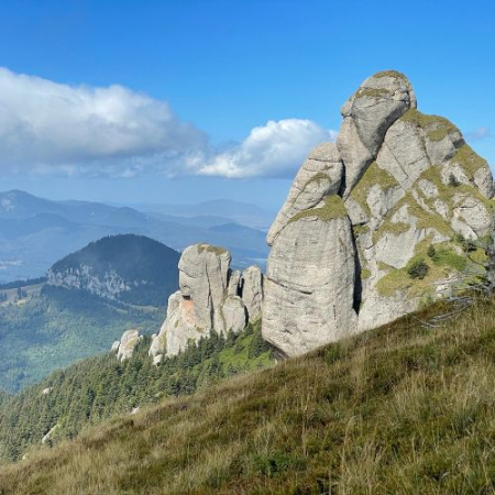 Rhododendron pe Culmea Bratocea și Vârful Ciucaș [5]
