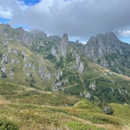 Rhododendron pe Culmea Bratocea și Vârful Ciucaș [4]