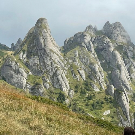 Rhododendron pe Culmea Bratocea și Vârful Ciucaș [6]