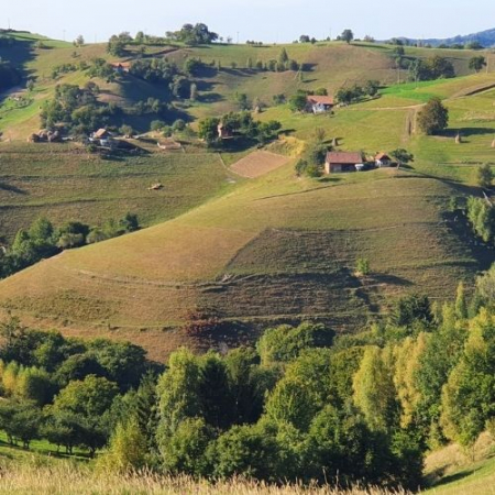 Din Poiana Mărului până în Satul Holbav  [2]