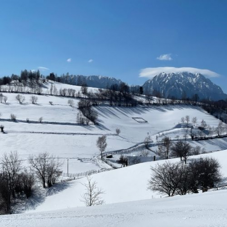 Drumeție în Poiana Mărului [3]