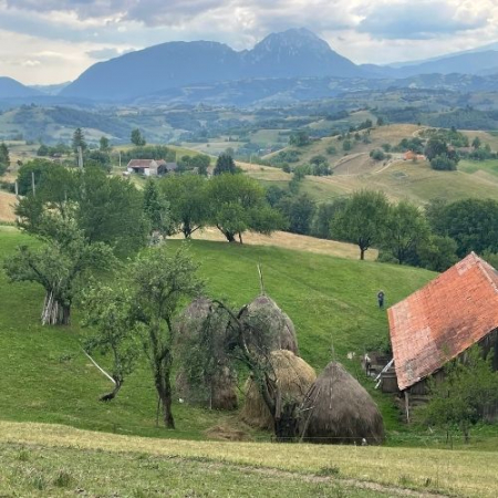 Din Poiana Mărului până în Satul Holbav  [3]