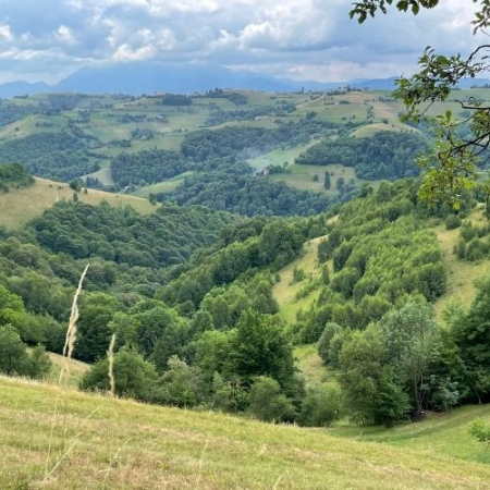 Din Poiana Mărului până în Satul Holbav  [4]