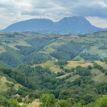 Din Poiana Mărului până în Satul Holbav  [5]