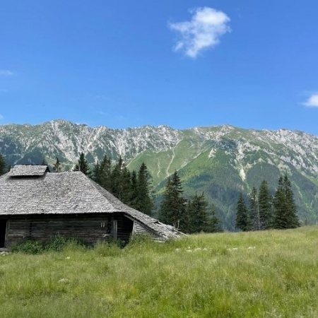 Din Satul Șirnea până în Prăpăstiile Zărneștilor [6]