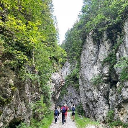 Din Satul Șirnea până în Prăpăstiile Zărneștilor [3]