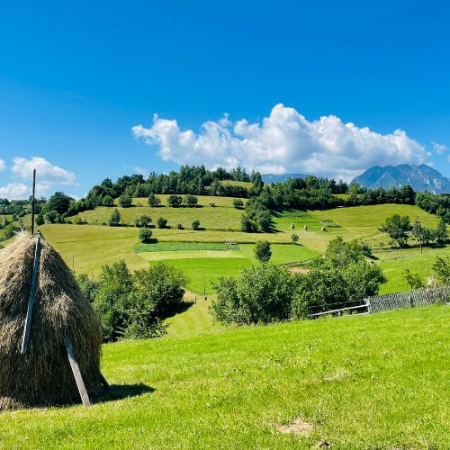 Drumeții - De Ziua Copilului drumeție pitorească în Poiana Mărului