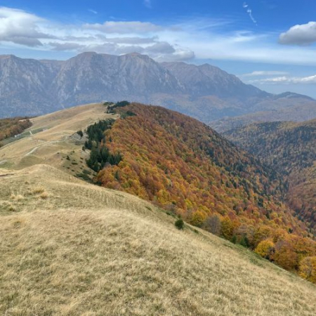 Drumeții - Drumeție Ruginie în Munții Baiului