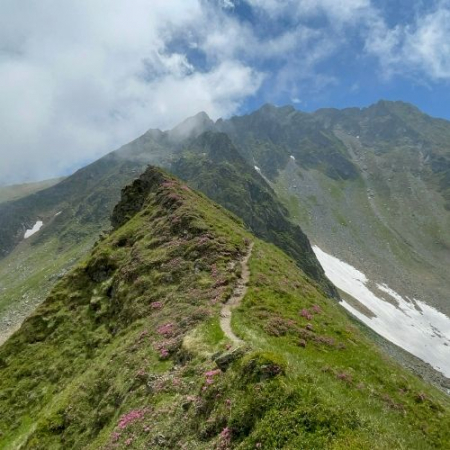 Fereastra Zmeilor - Munții Făgăraș [3]