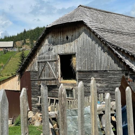 Gogoși de Toamnă la Fundata & Fundățica [10]