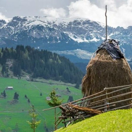 Gogoși de Toamnă la Fundata & Fundățica [1]