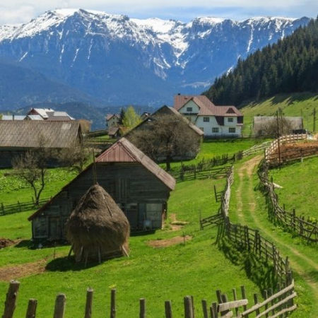 Gogoși de Toamnă la Fundata & Fundățica [6]