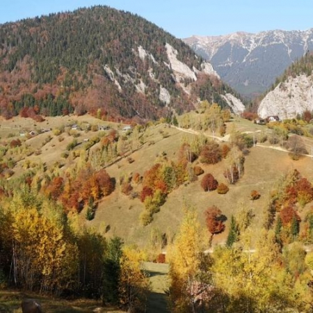 Drumeții - La pas din Măgura până în Moieciu de Jos