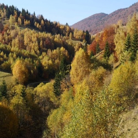 Măgurile Branului și Satele de Munte [3]