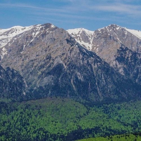 Narcisele din Munții Baiului [9]