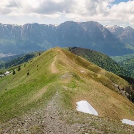 Narcisele din Munții Baiului [8]