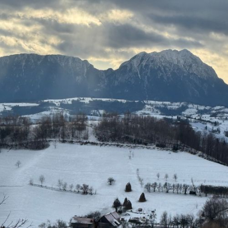 Drumeții - Drumeție în Poiana Mărului