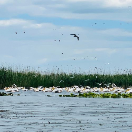 Excursie de 1 zi în Delta Dunării [2]