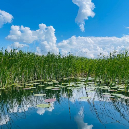 Excursie de 1 zi în Delta Dunării [8]