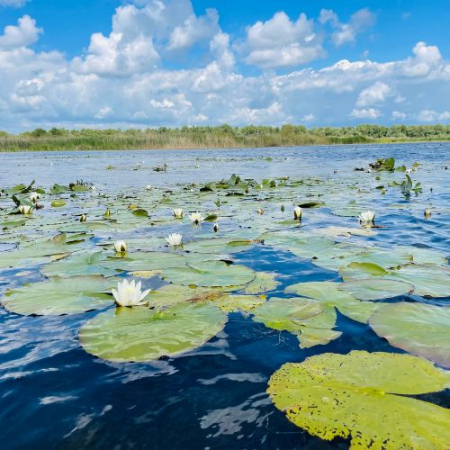 Drumeții - Excursie de 1 zi în Delta Dunării