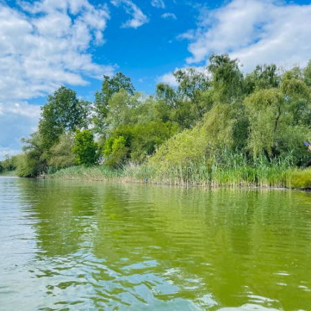 Excursie de 1 zi în Delta Dunării [4]