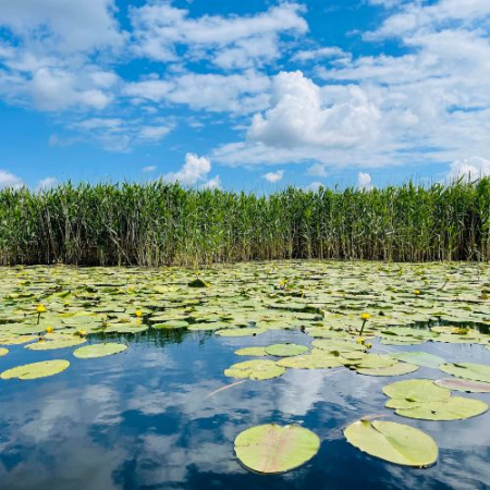 Excursie de 1 zi în Delta Dunării [7]