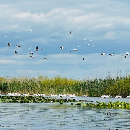 Excursie de 1 zi în Delta Dunării [5]