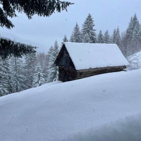 Drumeții - De 8 Martie pe ulițele Sohodolului și Mâncarea la Ceaun