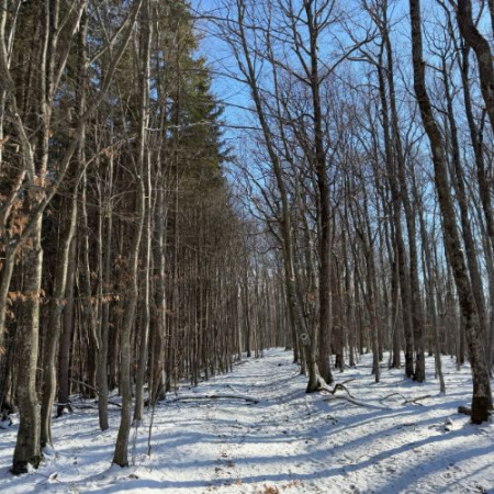 Pe Drumul Dacilor în Munții Bodoc [9]