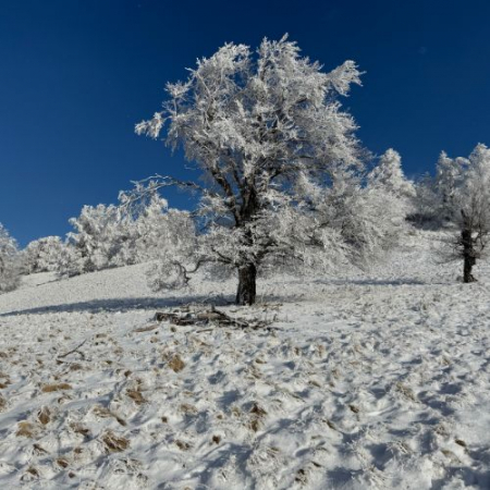 Pe Drumul Dacilor în Munții Bodoc [5]