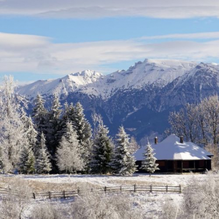 Ursa Mică, dealurile Șirnei și Ciocanului & Mâncarea la Ceaun [1]