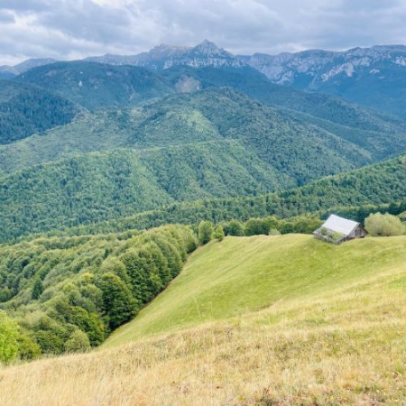Pe Culmile Șimonului la Vârful Secătura [10]